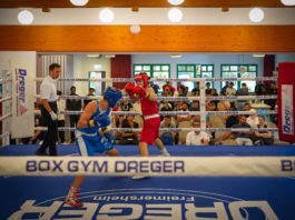 Internationales Boxturnier in Freimersheim: 32 Vereine, starke Kämpfe und besondere Ehrung für Jan Dreger
