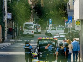 Amok-Alarm an Löwenschule in Alzey: Polizei schließt Gefahrenlage aus