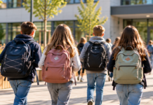 Grünes Licht für neue IGS in Alzey: Schulstart bereits 2027