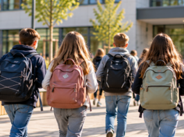 Grünes Licht für neue IGS in Alzey: Schulstart bereits 2027