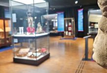 „Giganten im Garten“: Museum Alzey zeigt 600 Zeugnisse aus der Stadtgeschichte