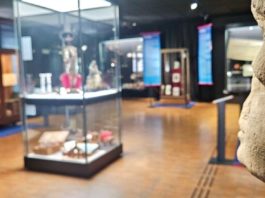 „Giganten im Garten“: Museum Alzey zeigt 600 Zeugnisse aus der Stadtgeschichte
