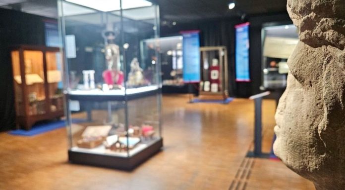 „Giganten im Garten“: Museum Alzey zeigt 600 Zeugnisse aus der Stadtgeschichte
